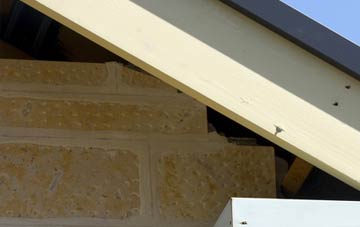 soffit repair Garros