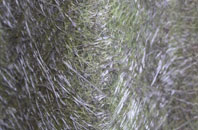 Garros fibreglass roof work